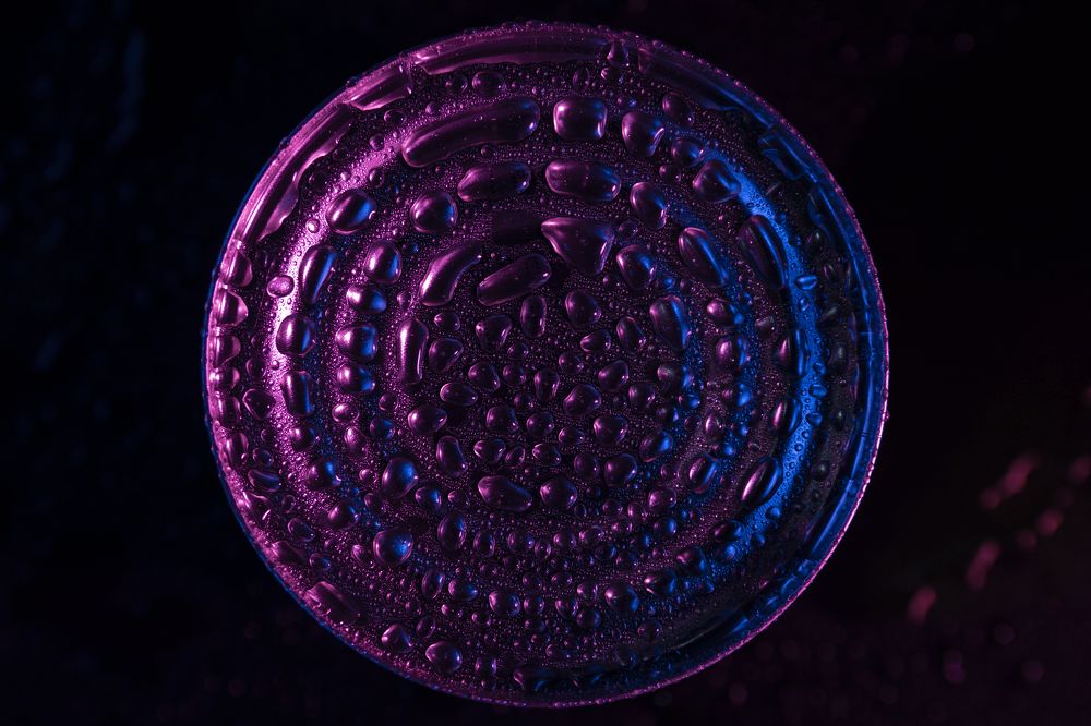 Photograph by Мария Кудрявцева