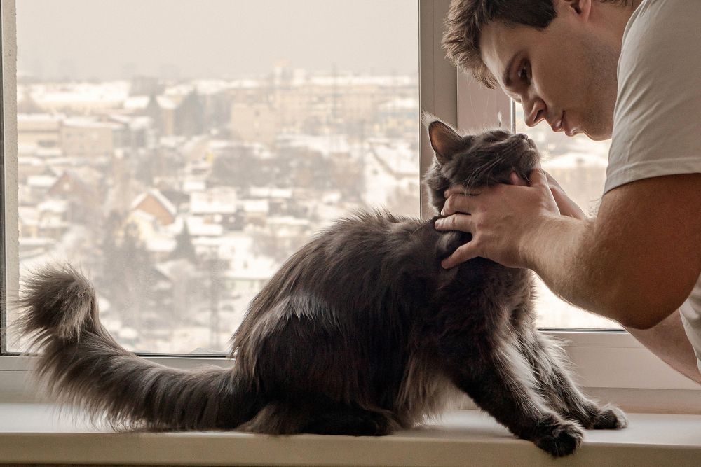 Photograph by Захарова Татьяна