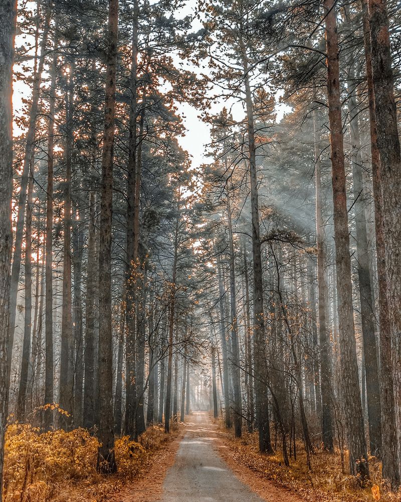 Photograph by Светлана Дмитриева