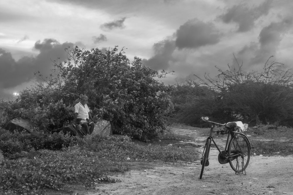 Фотография автора Vijay V