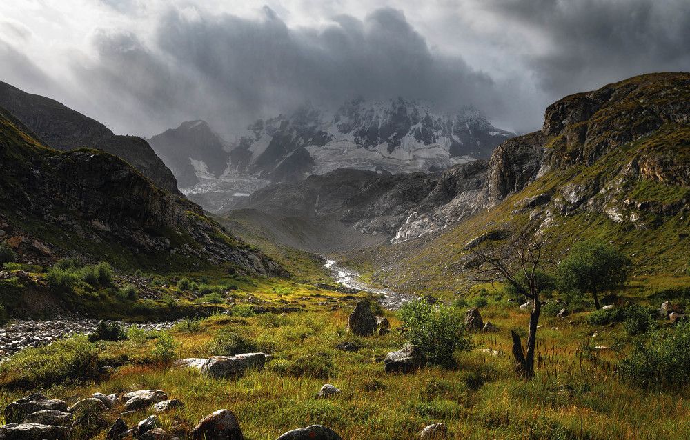 Фотография автора Шевченко Юрий