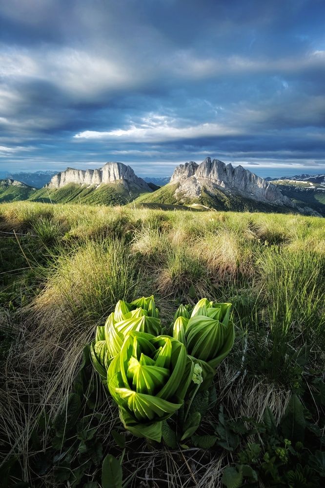 Photograph by Евгений Антонов
