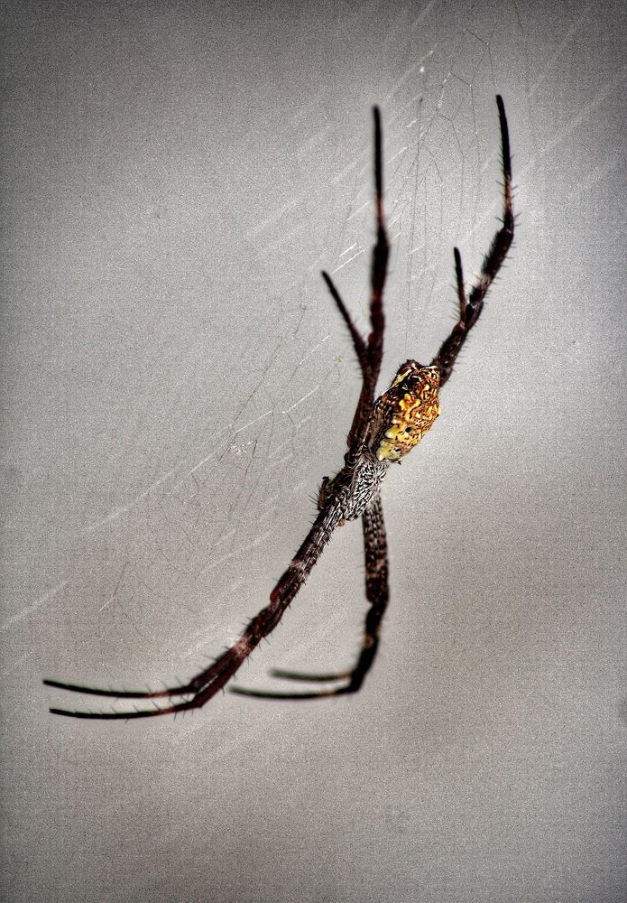 Photograph by  Oscar Simon Wiryahanjaya