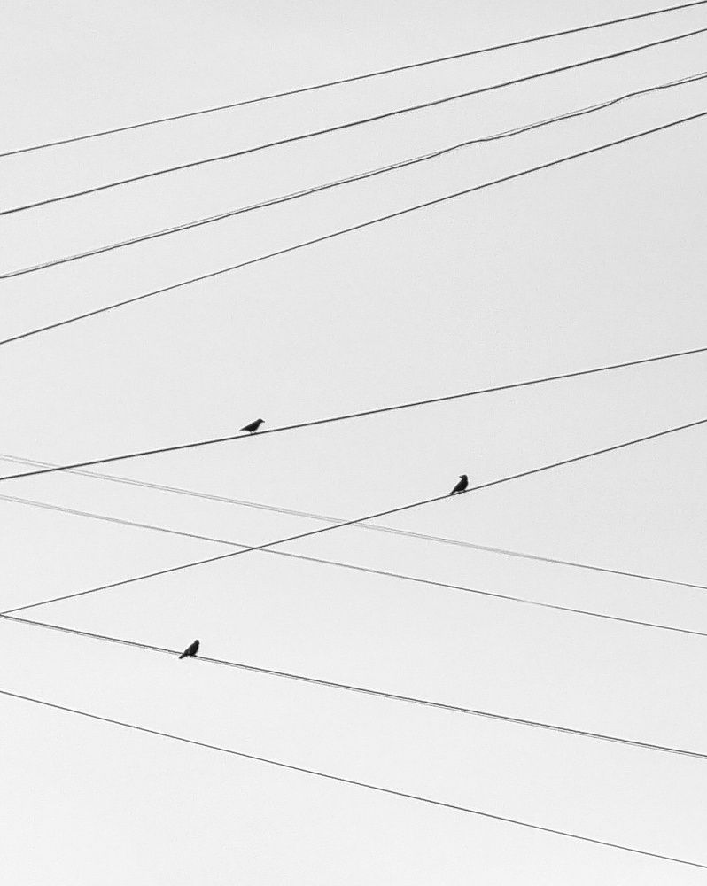 Photograph by Екатерина Воротникова