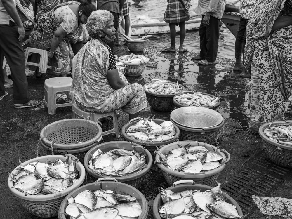 Фотография автора Vijay V