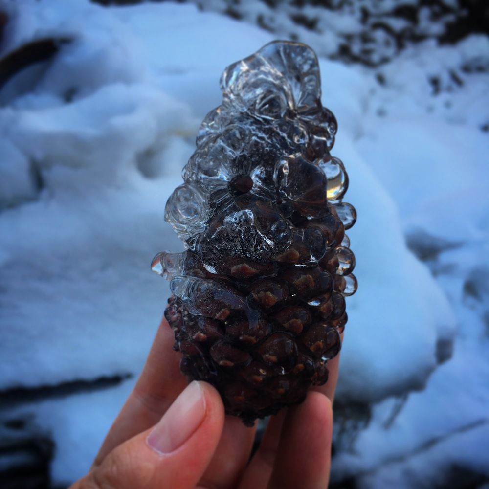 Фотография автора Алянур Юлдашева