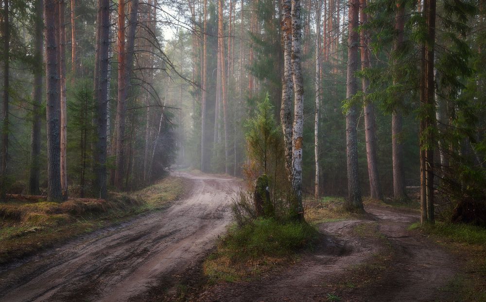 Photograph by Максим Сухов