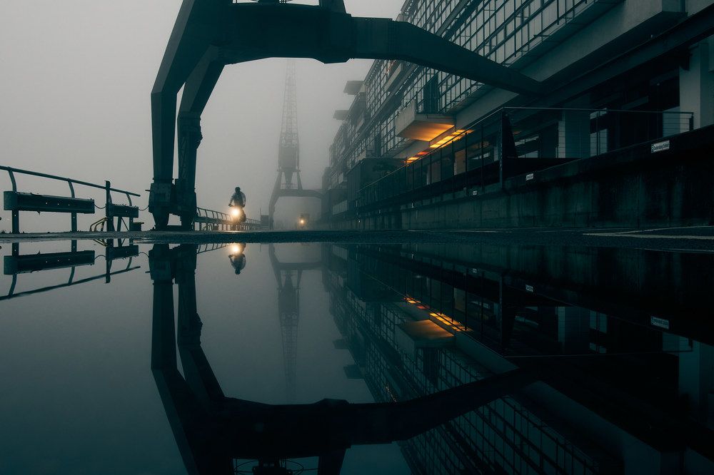 Photograph by Alexander Schönberg