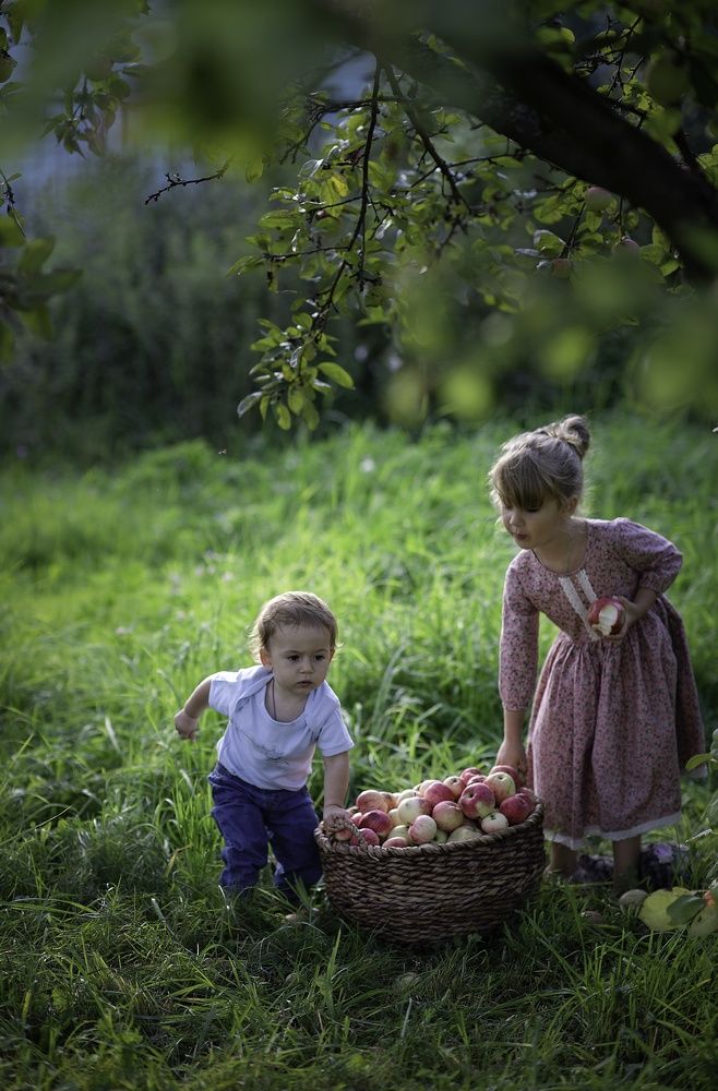 Яблочная история