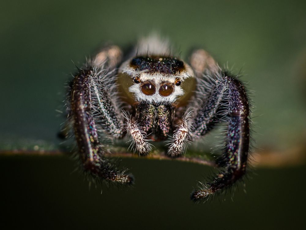 Photograph by SHAJI CHANDRAN