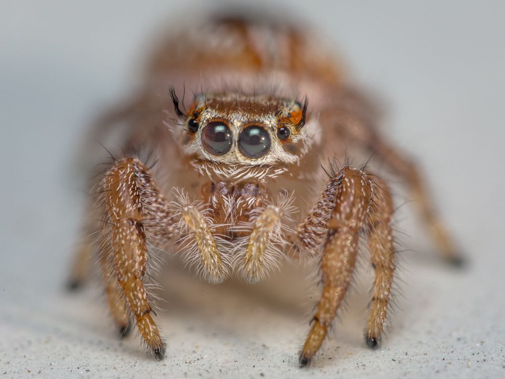 Photograph by SHAJI CHANDRAN