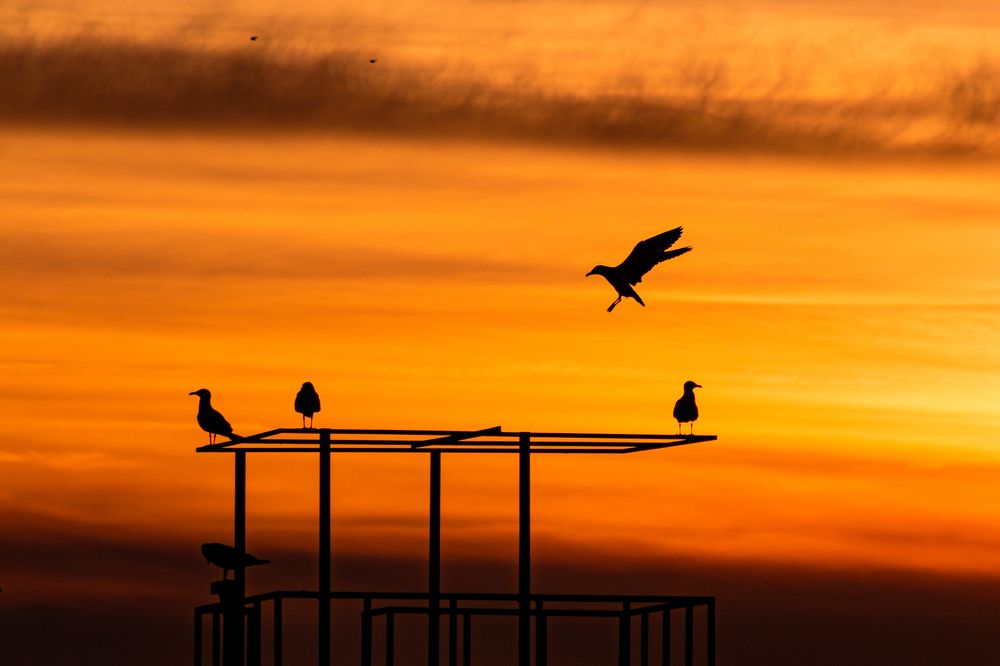 Photograph by Даниел Чобанов