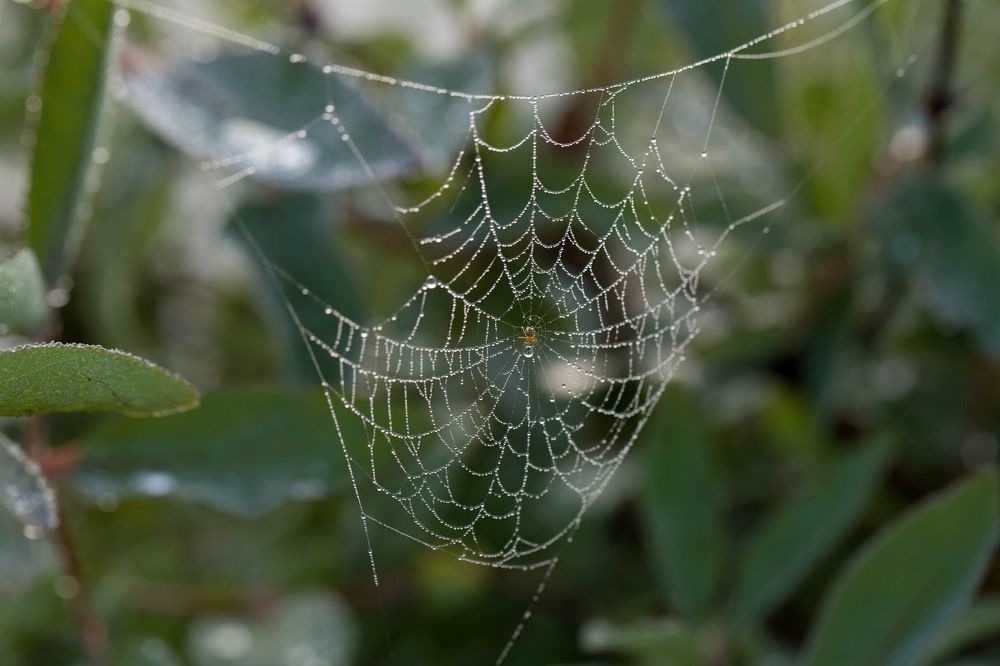 Photograph by Борис Баринов