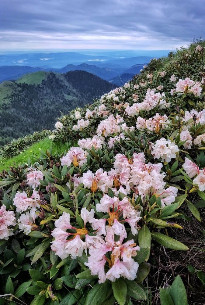 Photograph by Евгений Антонов