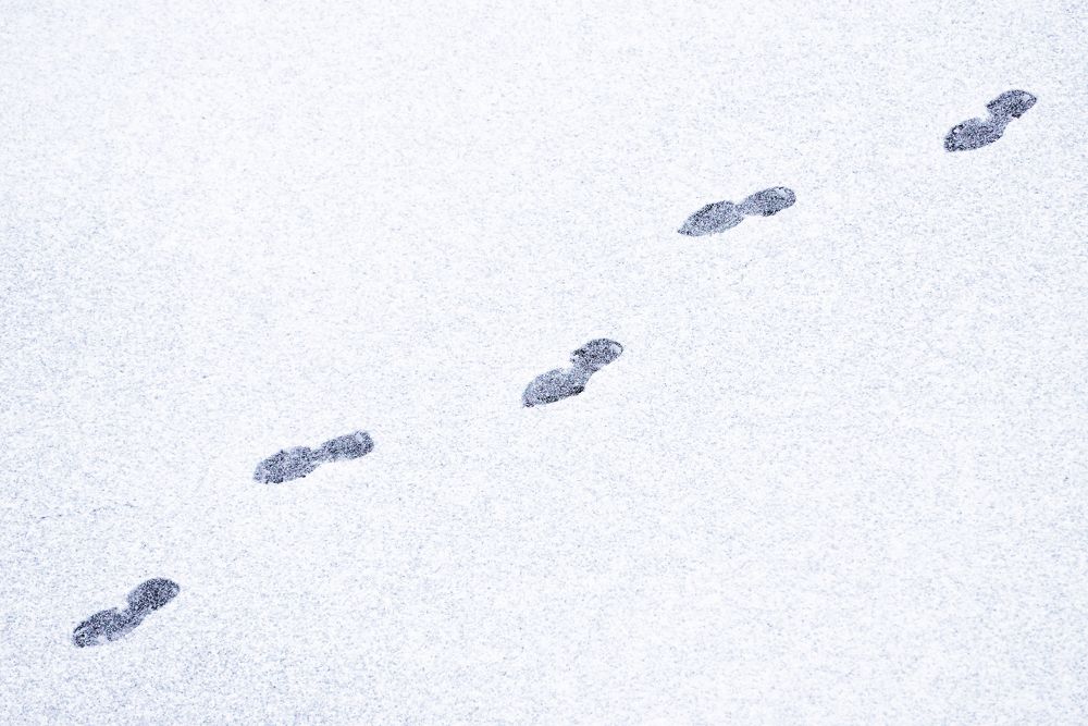 Photograph by Игорь Ковалёв