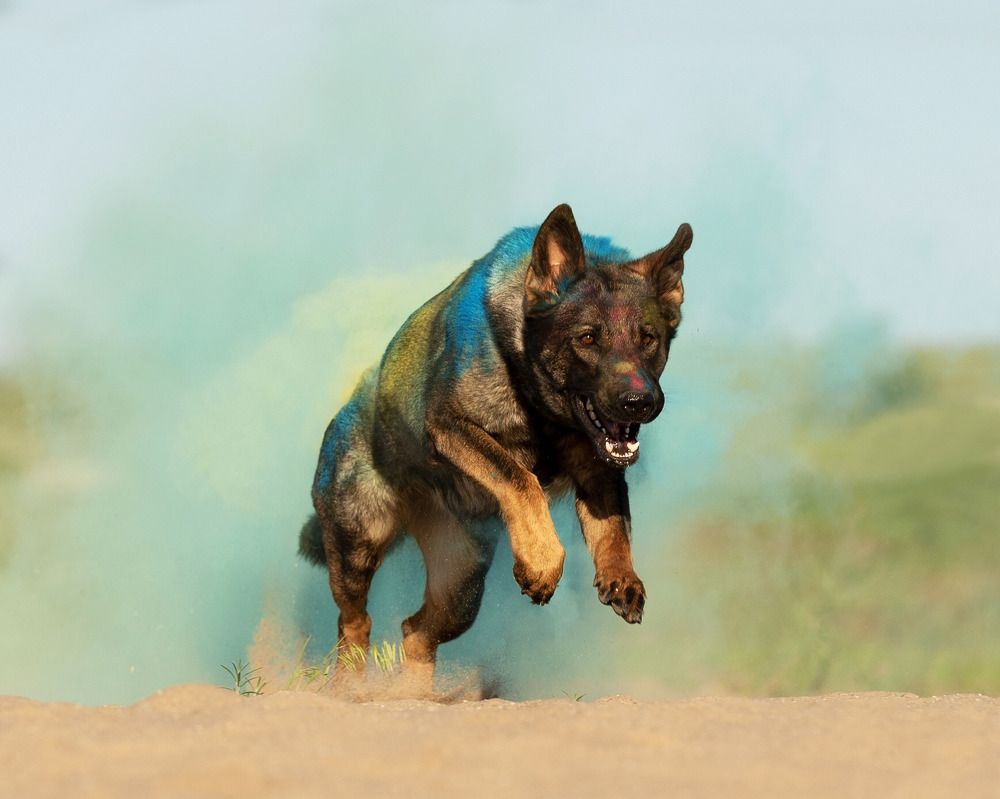 Photograph by Юлия Шатских