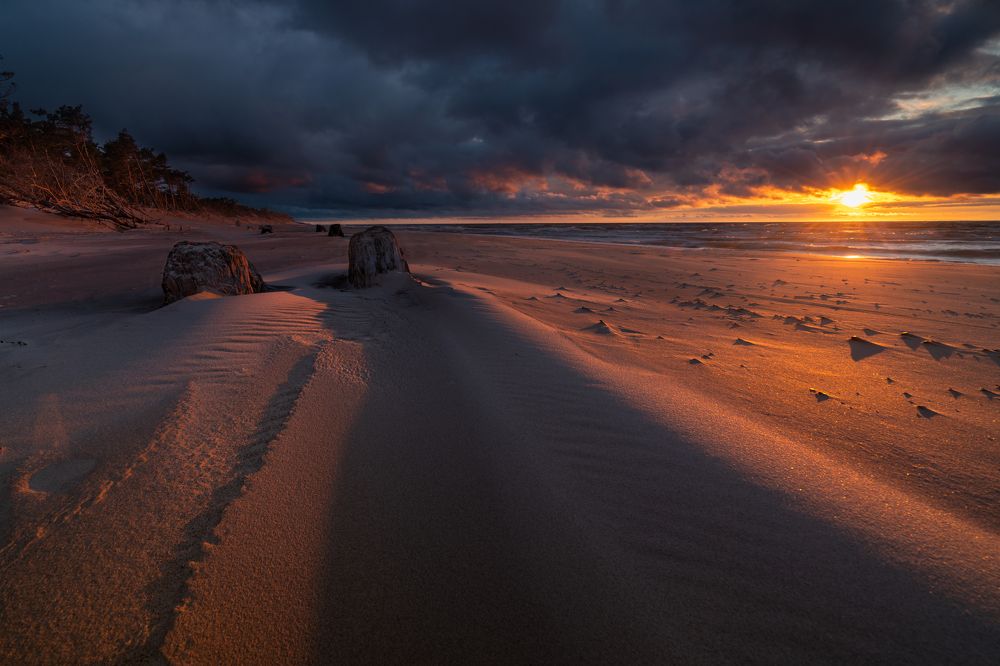 Photograph by Michał Pośpiech