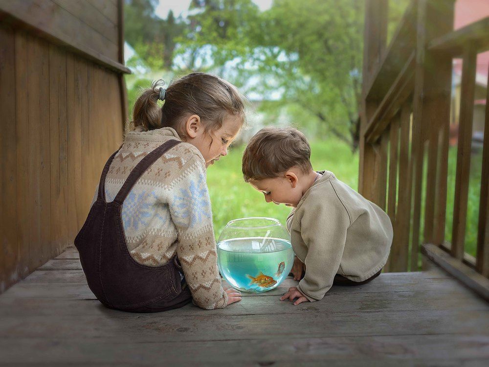 Photograph by Васильева Ольга