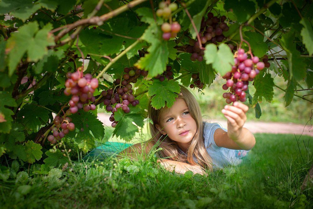 Photograph by Васильева Ольга