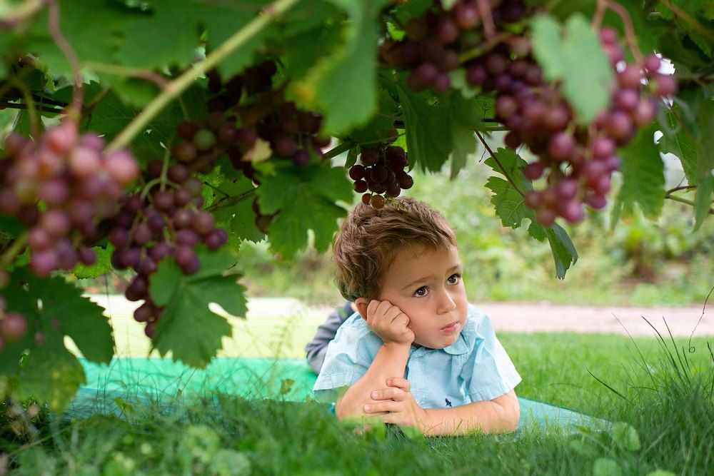 Photograph by Васильева Ольга