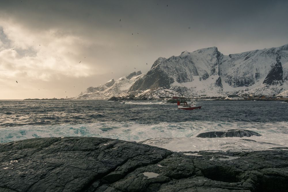Photograph by Michał Pośpiech