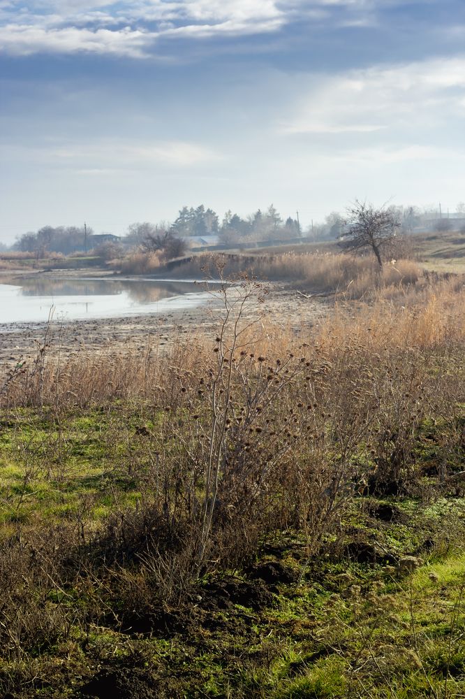 Photograph by Maria Danilkina