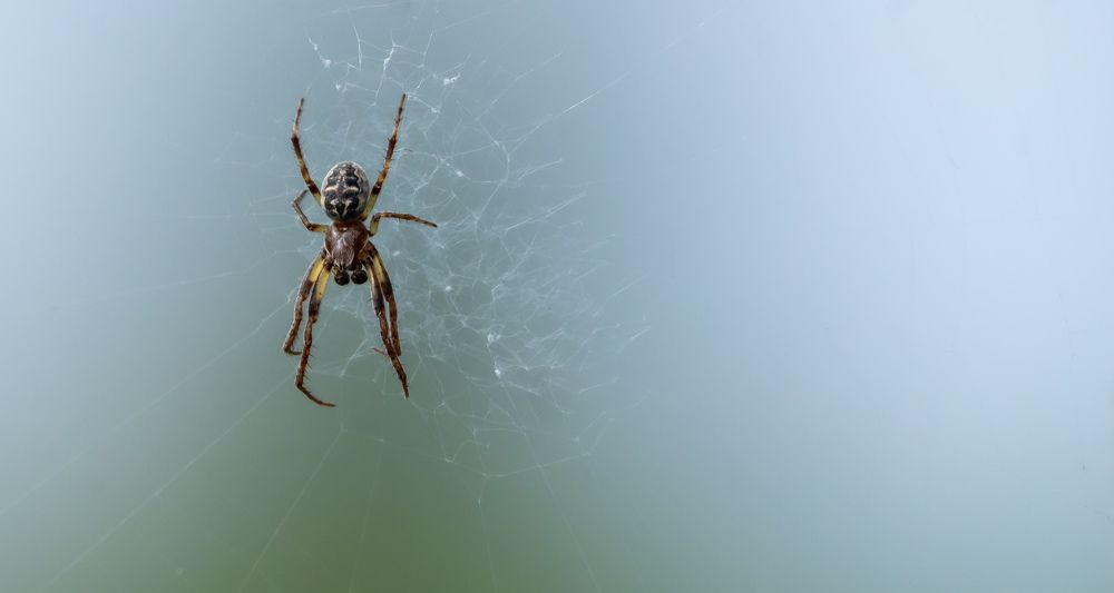 Photograph by Мелихов Вадим