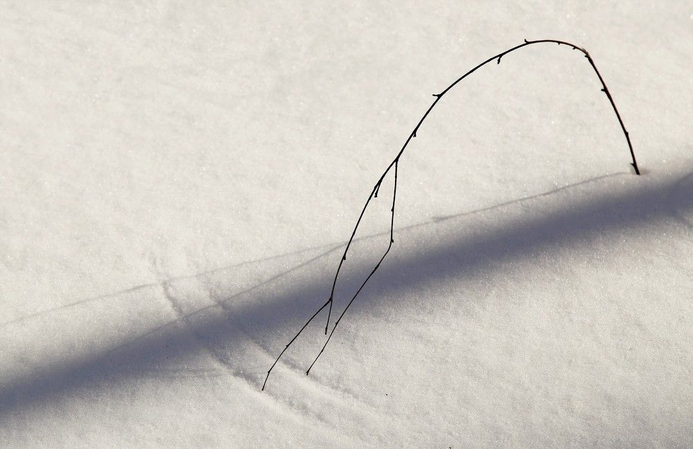 Photograph by Борис Баринов