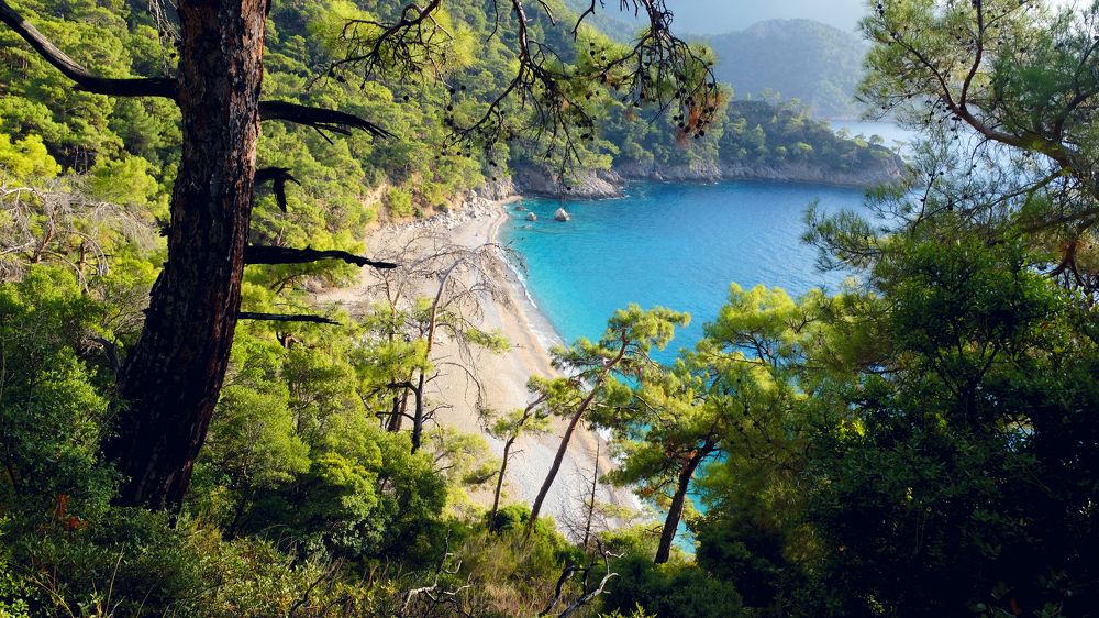 Photograph by Дарья Низовкина