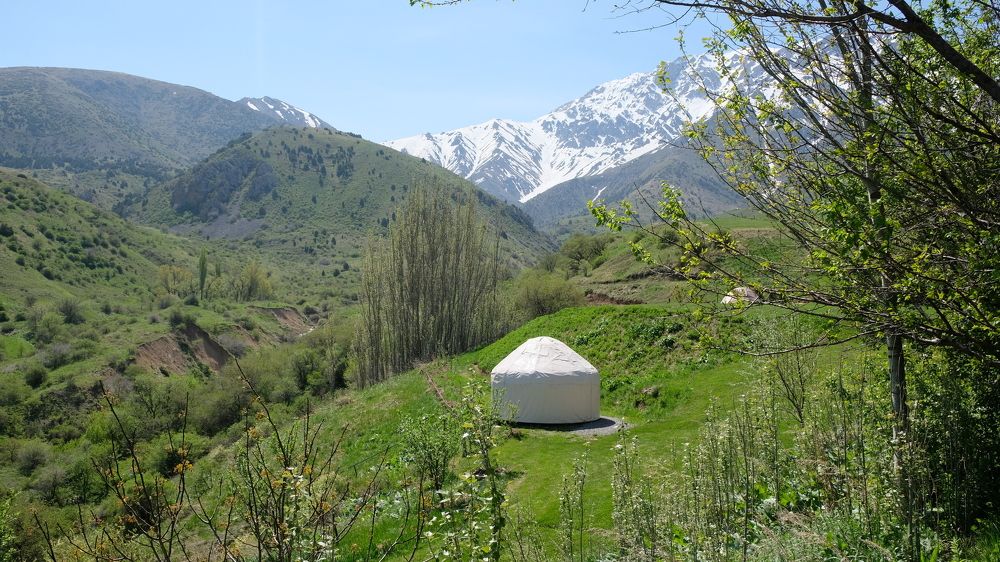 Photograph by Дарья Низовкина