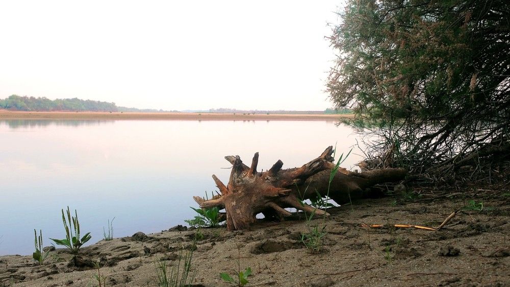 Photograph by Дарья Низовкина