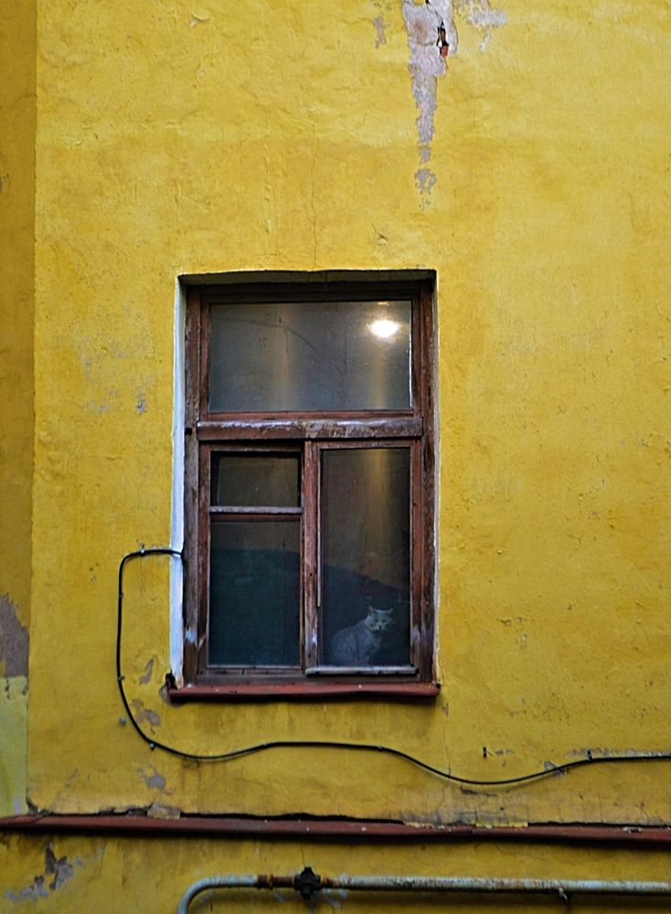 Photograph by Аня Носкова-Данцер