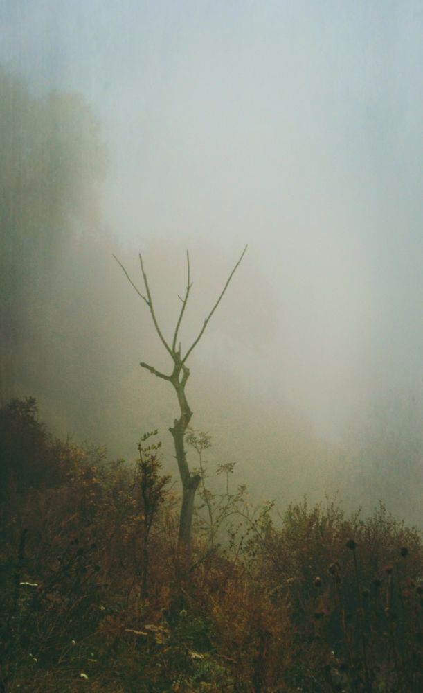 Photograph by Аня Носкова-Данцер
