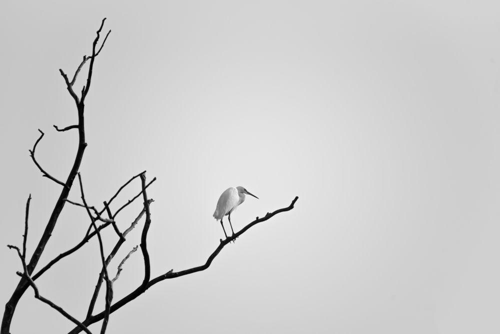 Photograph by Sanjaykumar Daramwar