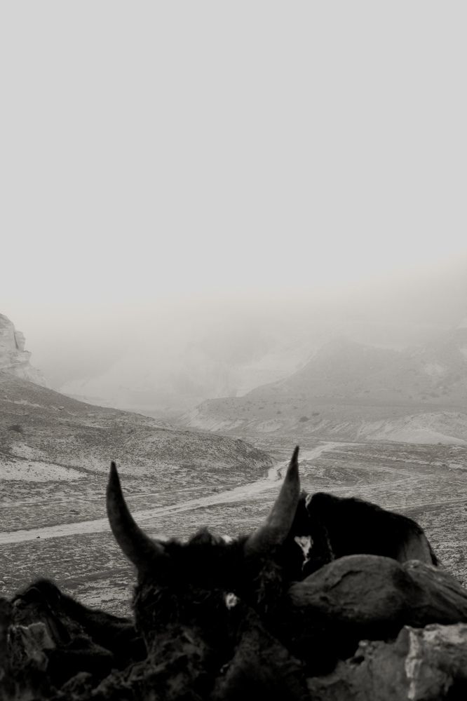 Фотография автора Адам Шаповалов