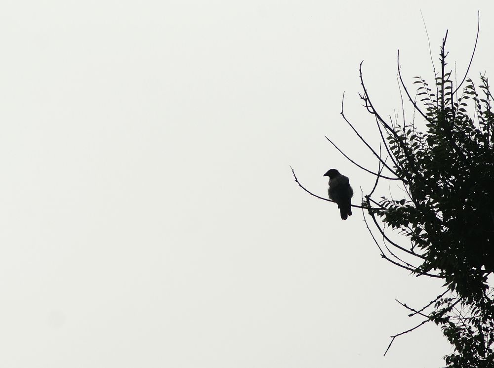 Photograph by Юрий Гау