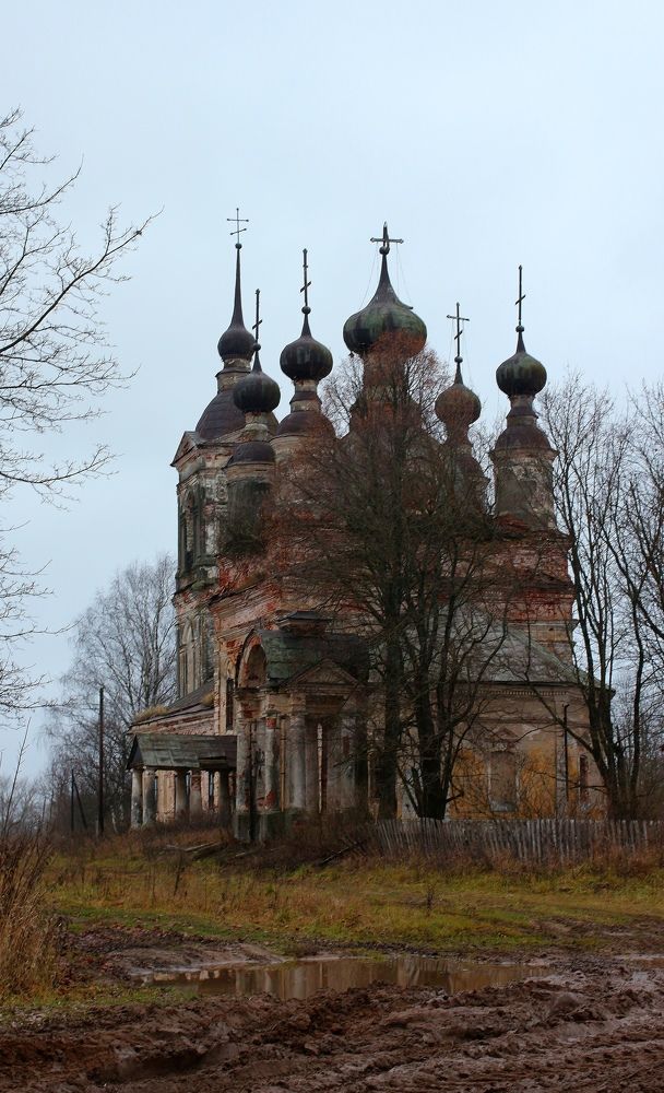 Photograph by Александра