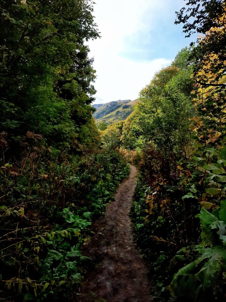 Photograph by Александр Лопатин