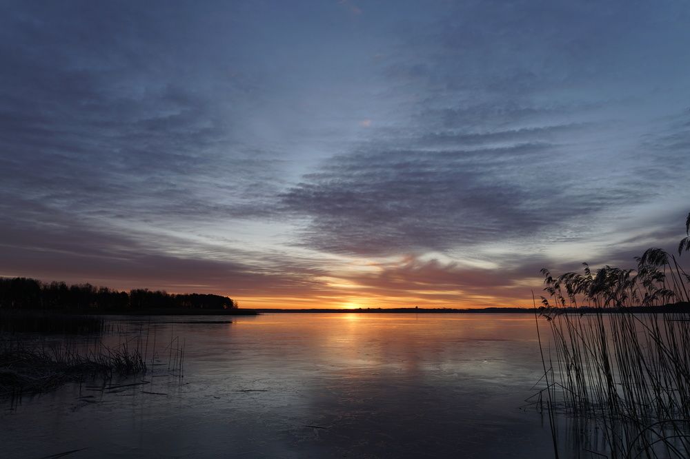 Фотография автора Anton Radtsevich