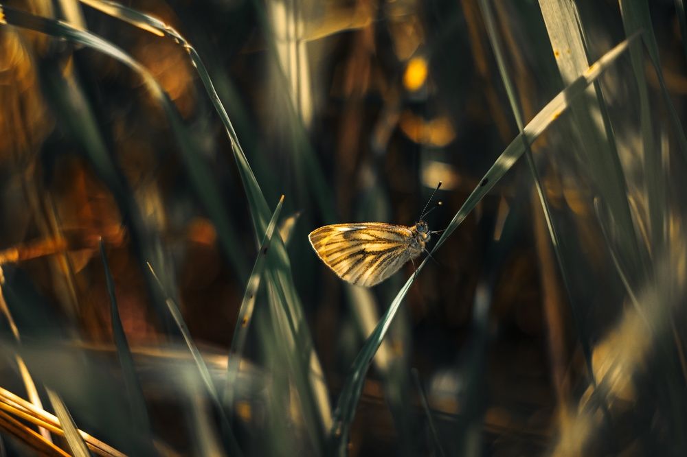 Photograph by Ксения Харитова