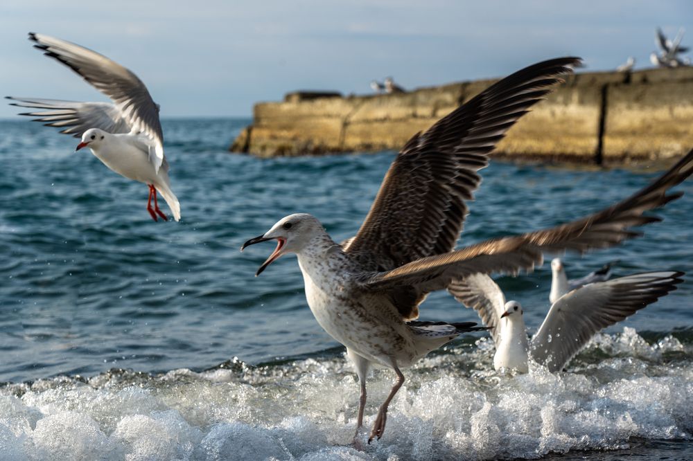 Photograph by Галина Аскольдовна Луковникова