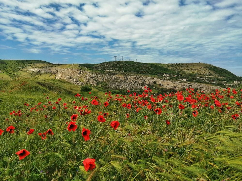 Photograph by Сергей Жигульский
