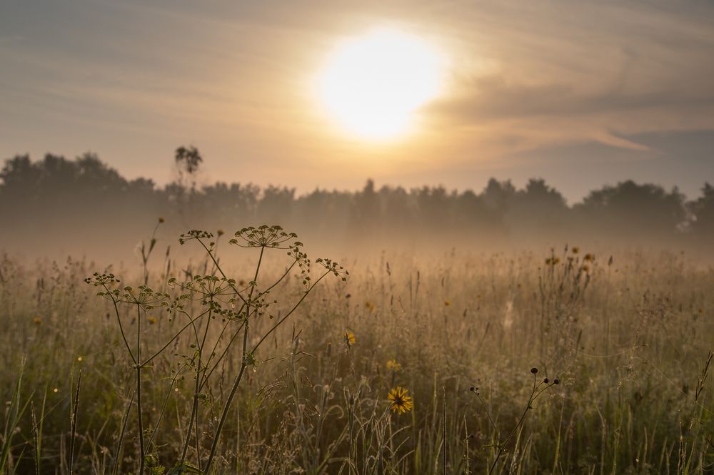 Photograph by Лидия Богданова
