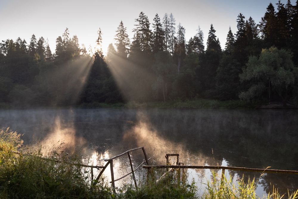 Photograph by Лидия Богданова