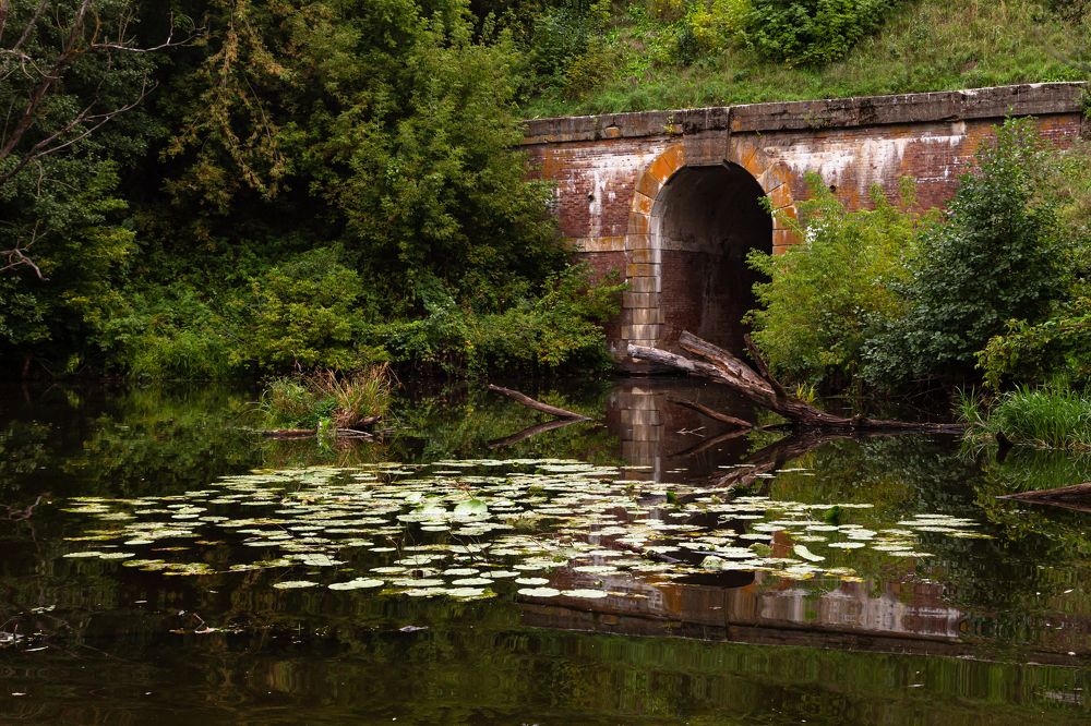 Photograph by Лидия Богданова