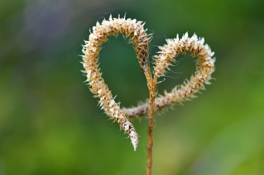 Photograph by Роман Моросеев