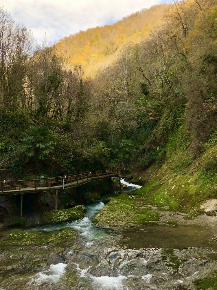 Оттенки красоты