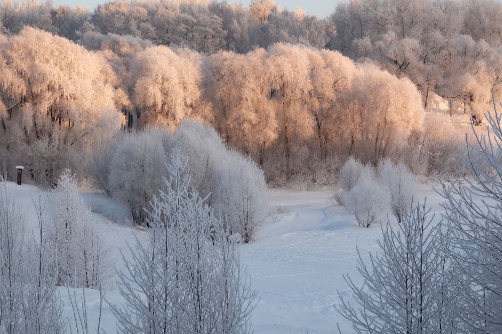 Заснеженный усадебный парк