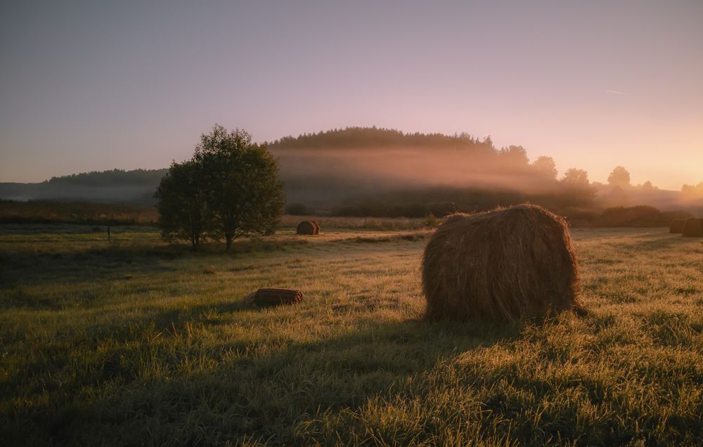 Ранним утром на встречу солнцу