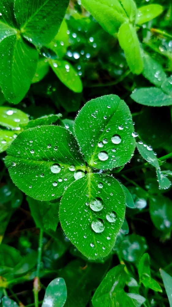 Photograph by Svetlana Stenkina